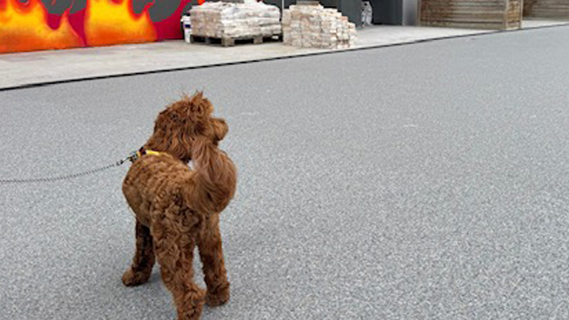 Stone Carpet Zemin Kaplama Uygulaması İstanbul